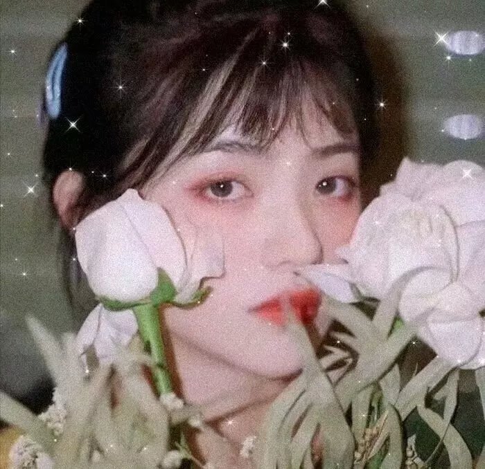 萝莉的时间