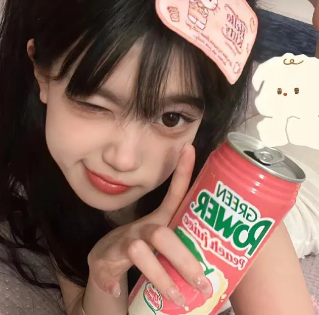 超完美狗保姆